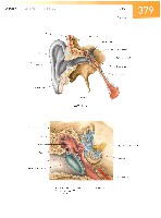 Sobotta Atlas of Human Anatomy  Head,Neck,Upper Limb Volume1 2006, page 386